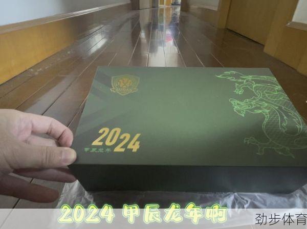 国安套票价格2024(国安套票2024)