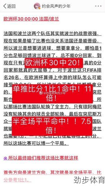 法国对波兰比分预测最新比分结果(法国vs波黑历史战绩)