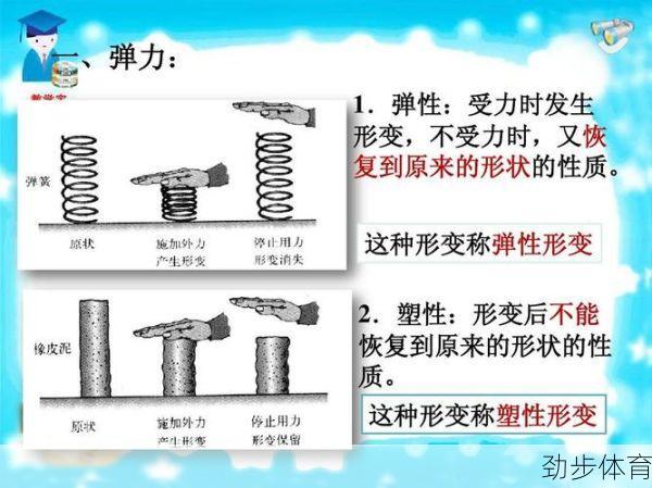 波纳尔弹簧和独立弹簧的区别(波纳文图拉)