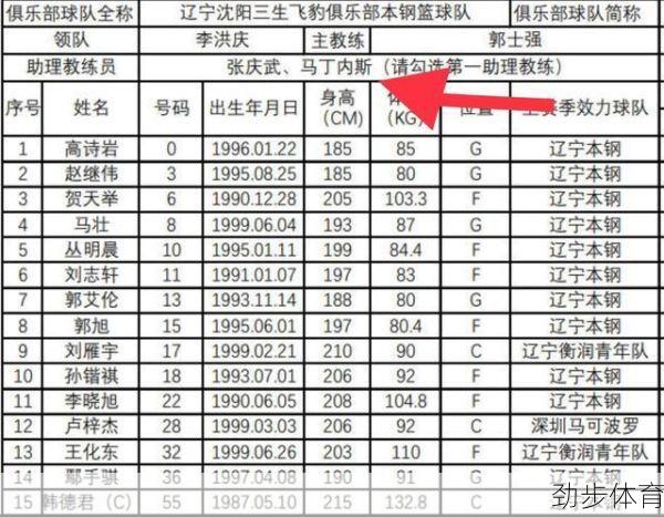 辽宁男篮15人名单(男蓝十二人名单)