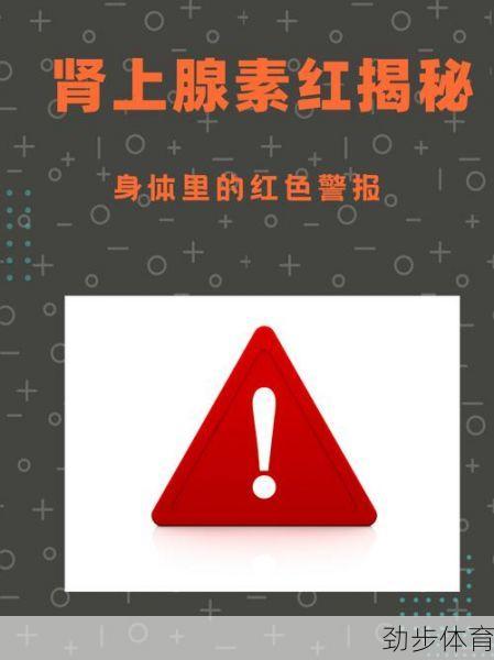 揭秘三狮军团：那些让你肾上腺素飙升的战术密码与文化基因【深度解析版】